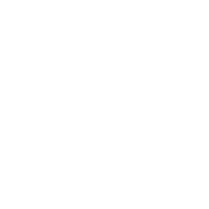 Dancing with Our Stars Gala - logo